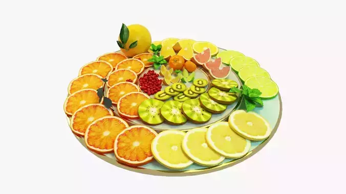 Citrus Slice Collection Realistic with Plate