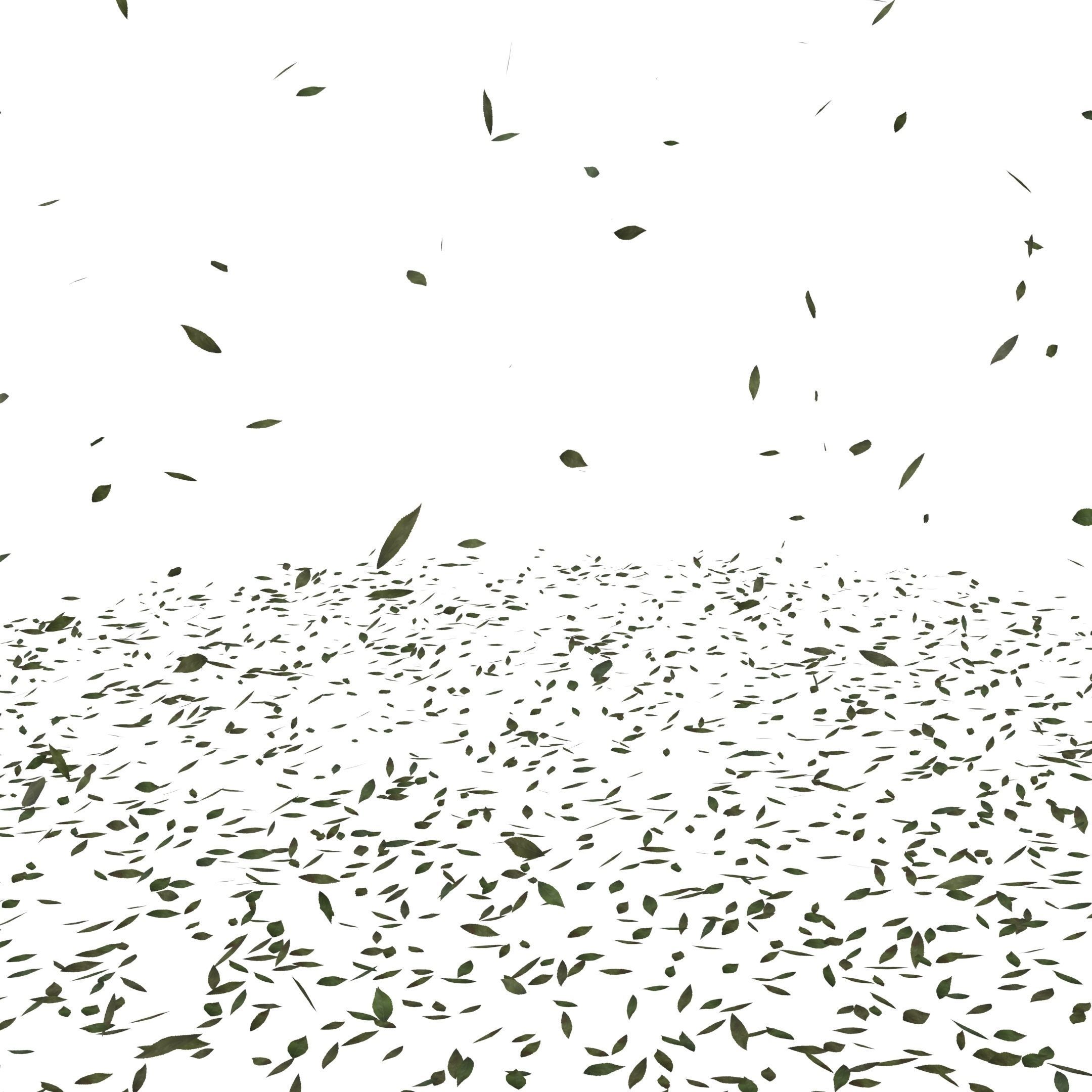 ash leaves falling looping rigged animated Low-poly 3D model Low-poly 3D model_8