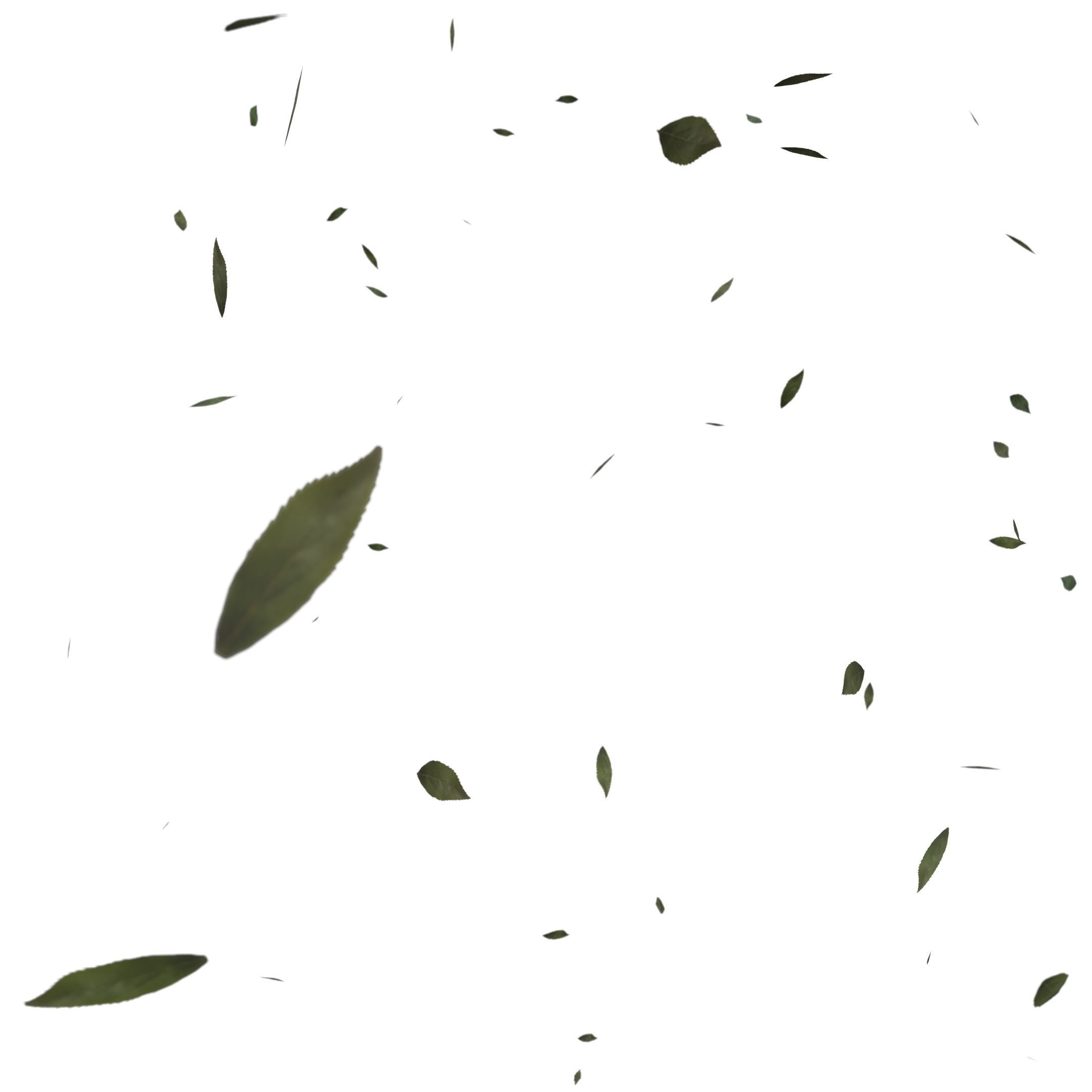 ash leaves falling looping rigged animated Low-poly 3D model Low-poly 3D model_5