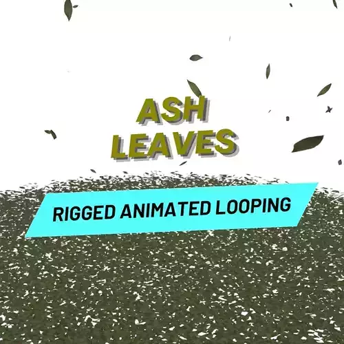 ash leaves falling looping rigged animated Low-poly 3D model Low-poly 3D model