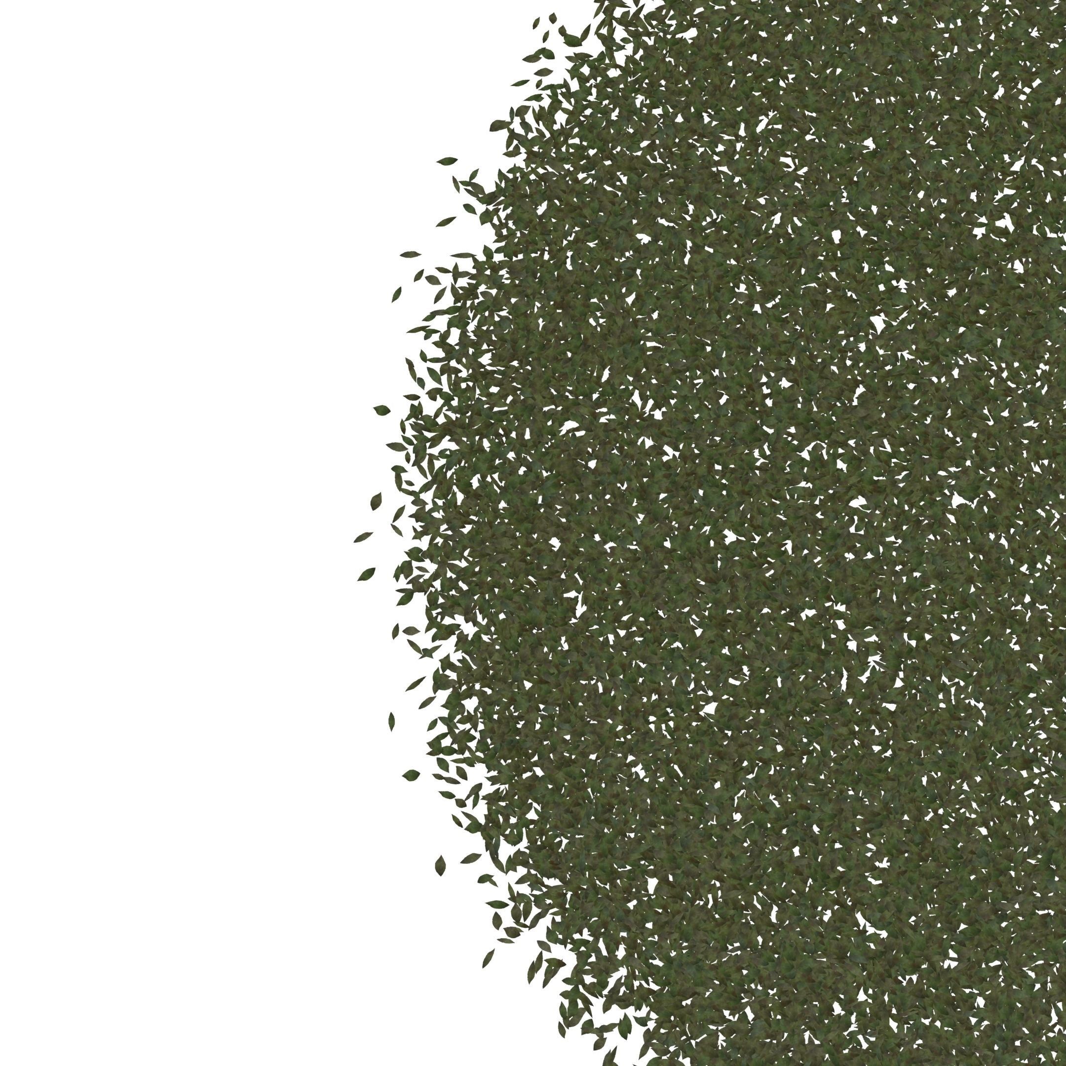 ash leaves falling looping rigged animated Low-poly 3D model Low-poly 3D model_10