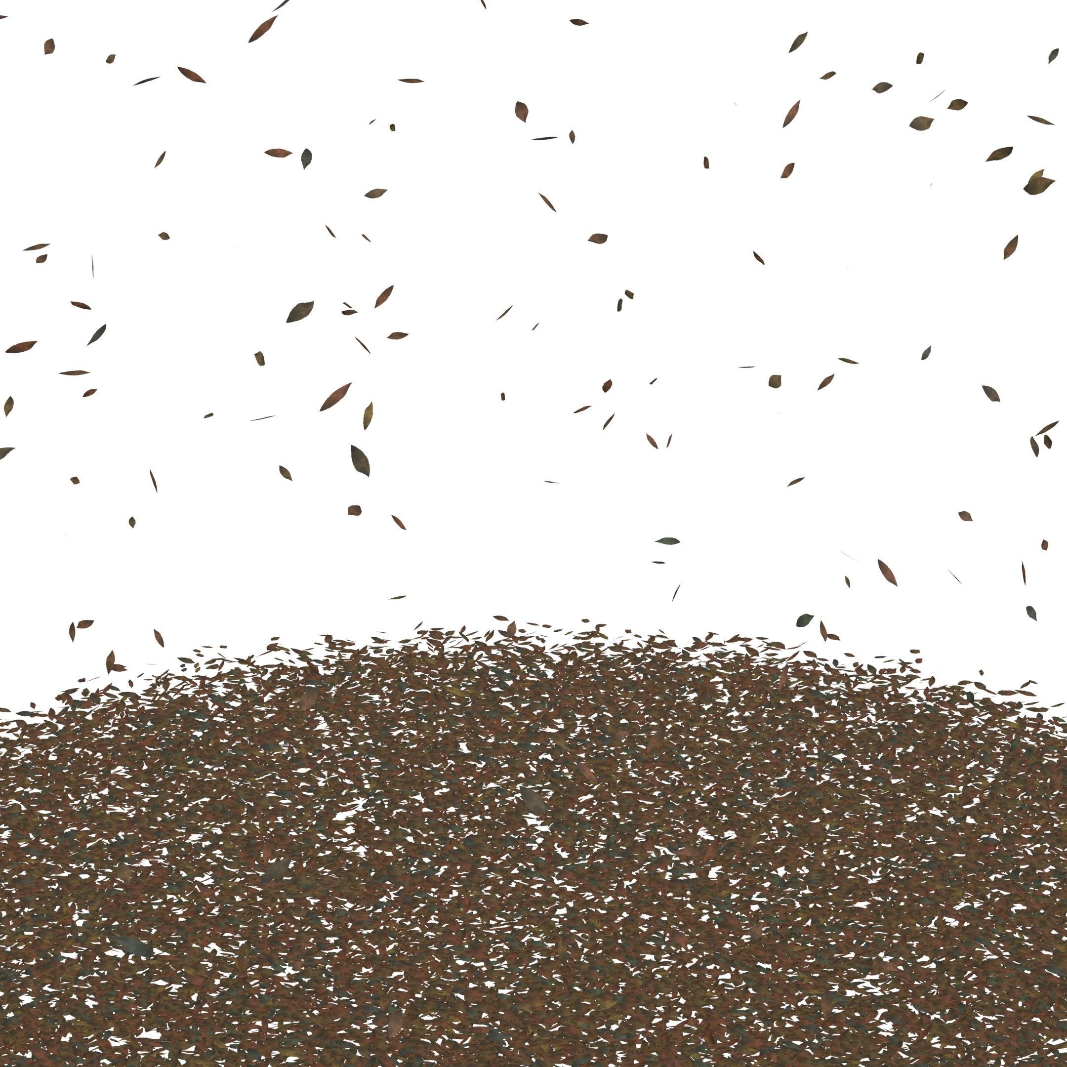 ash leaves falling looping rigged animated Low-poly 3D model Low-poly 3D model_3