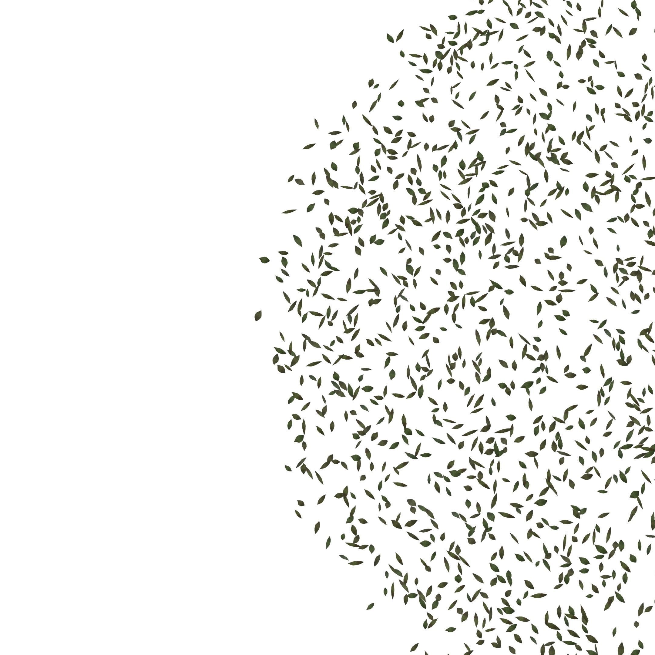 ash leaves falling looping rigged animated Low-poly 3D model Low-poly 3D model_9