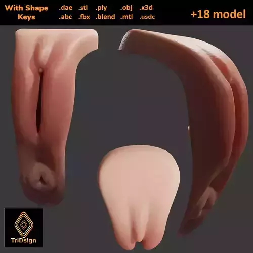 Realistic Vagina Lowpoly 