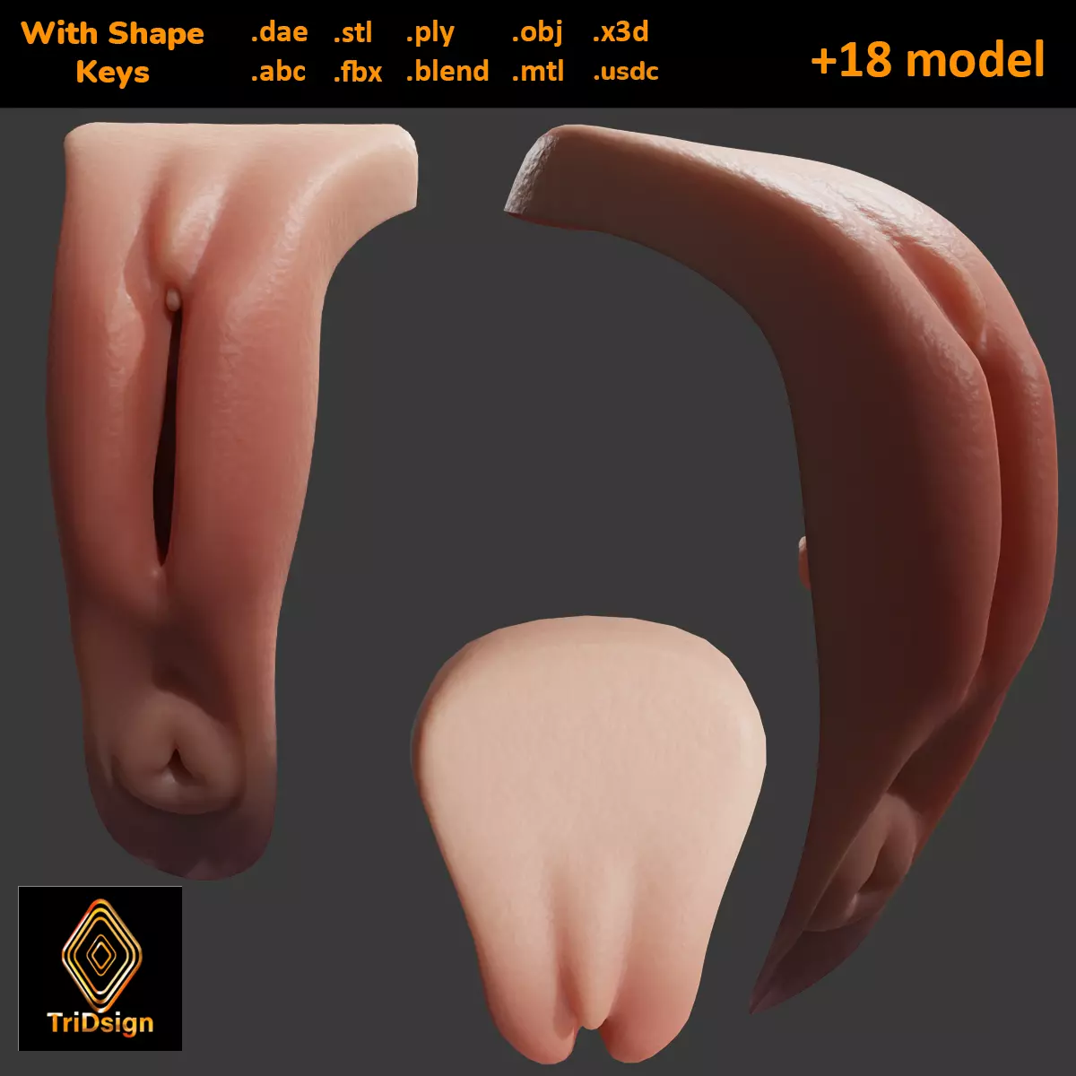 Realistic Vagina Lowpoly Low-poly 3D model_0