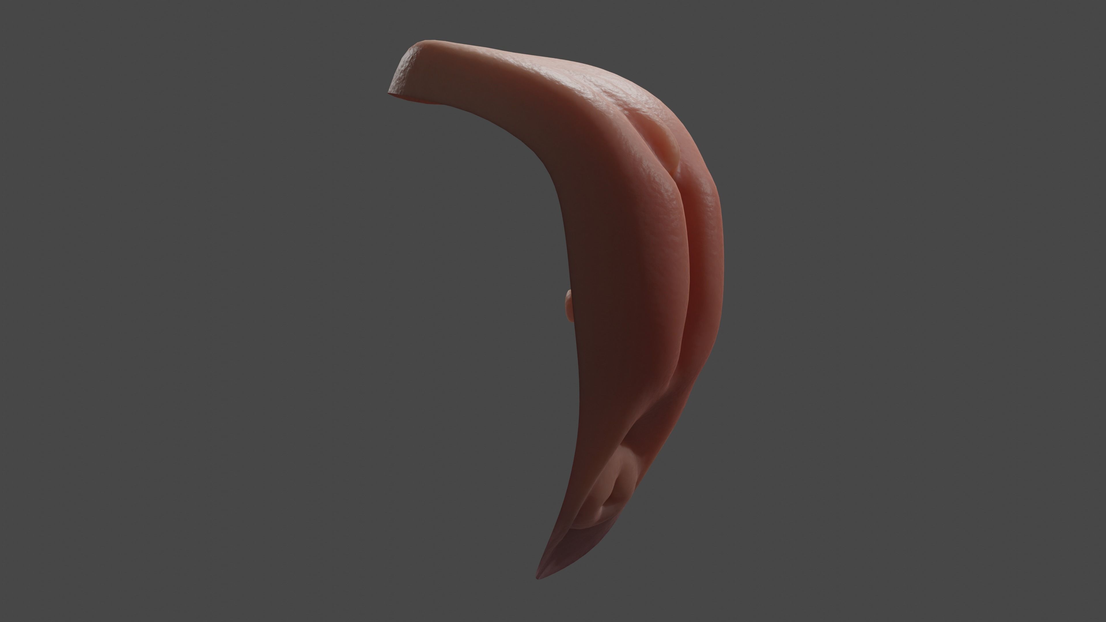 Realistic Vagina Lowpoly Low-poly 3D model_7