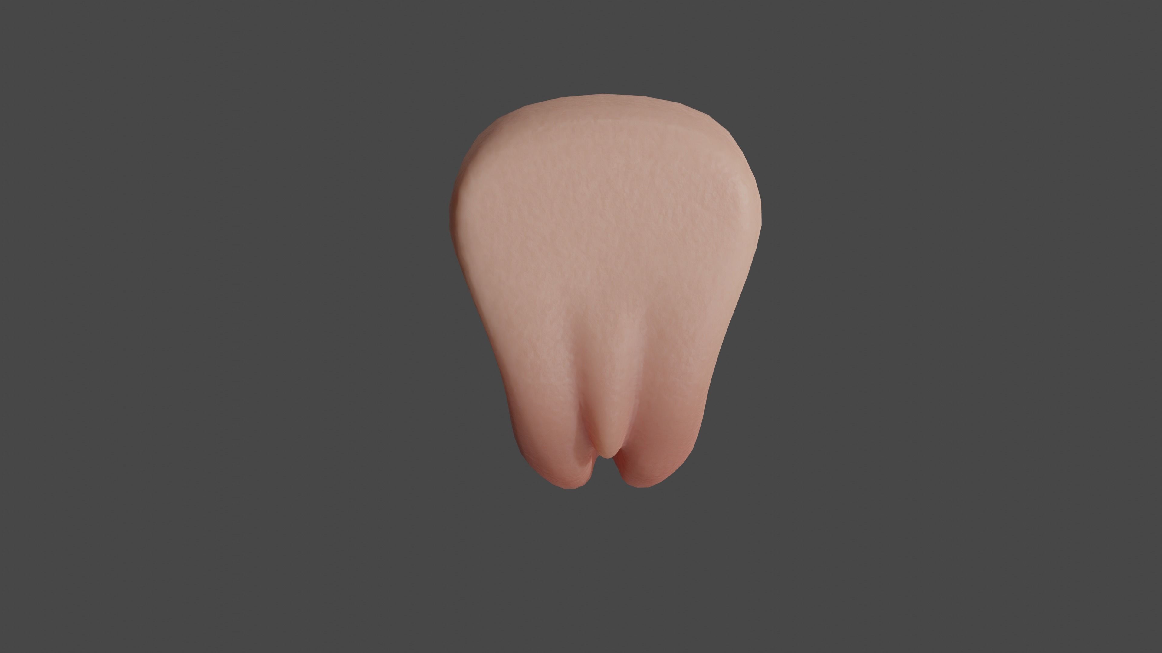 Realistic Vagina Lowpoly Low-poly 3D model_6