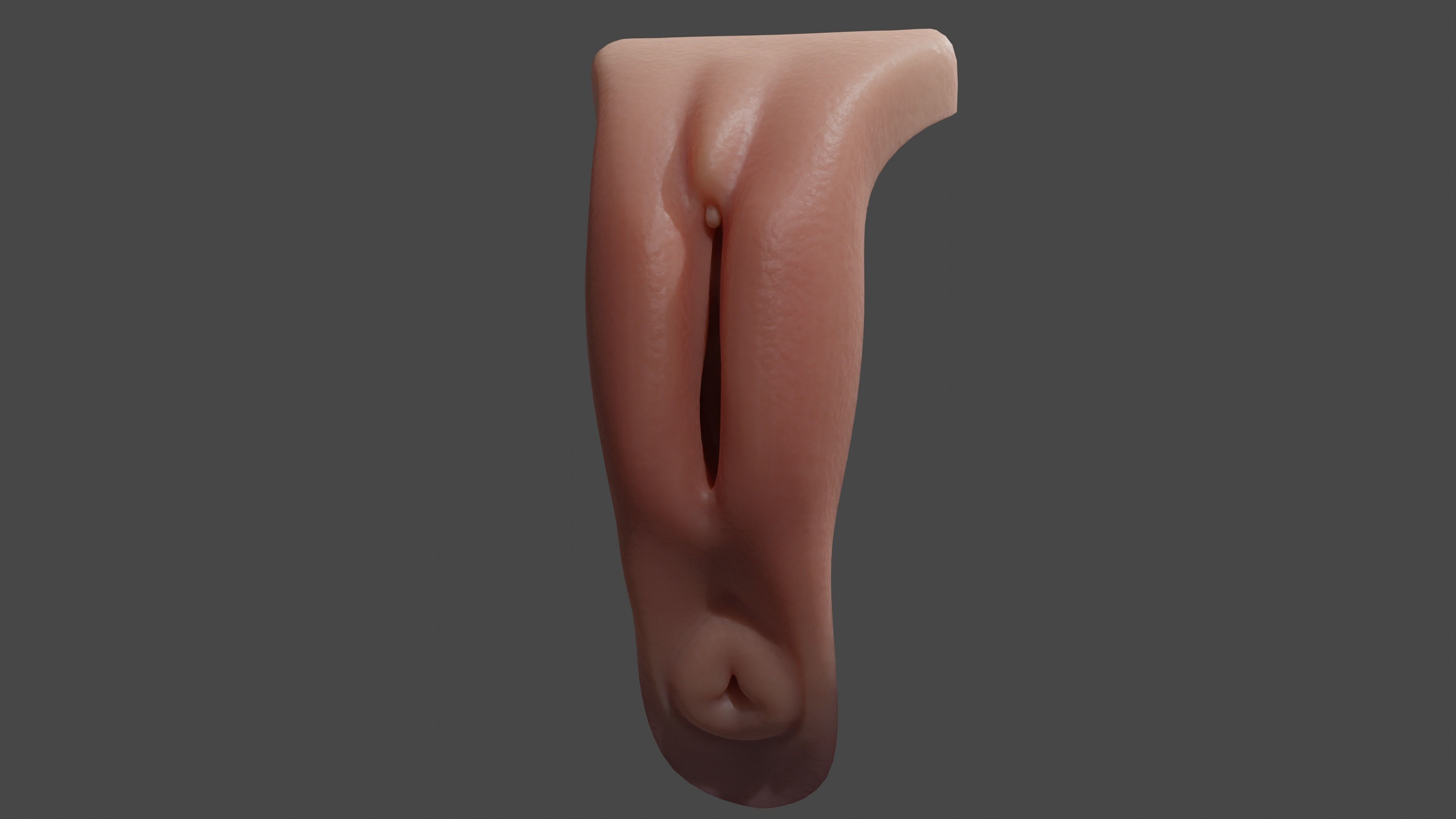Realistic Vagina Lowpoly Low-poly 3D model_5