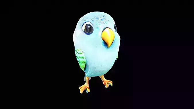 cute little parakeet bird