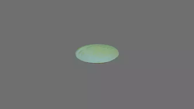 Green Circle Throw Rug