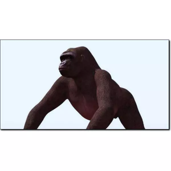 Gorilla Studio Max 3D model_0