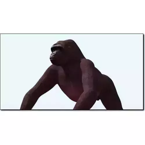 Gorilla Studio Max 3D model