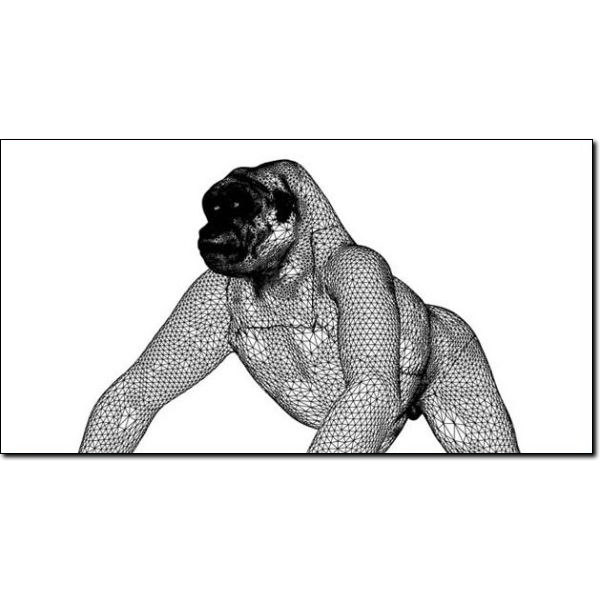 Gorilla Studio Max 3D model_2