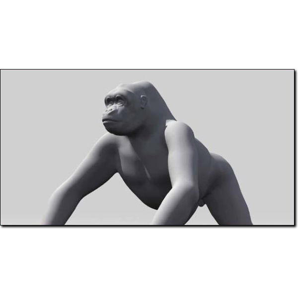 Gorilla Studio Max 3D model_1