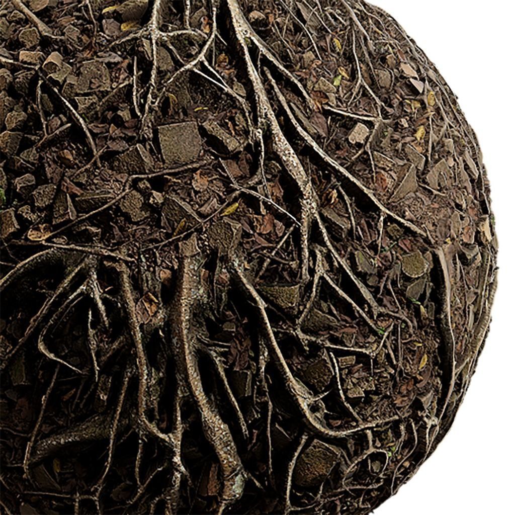 Historical Seamless Texture 2K - EXR 5 - JPG 5 Texture Texture_4