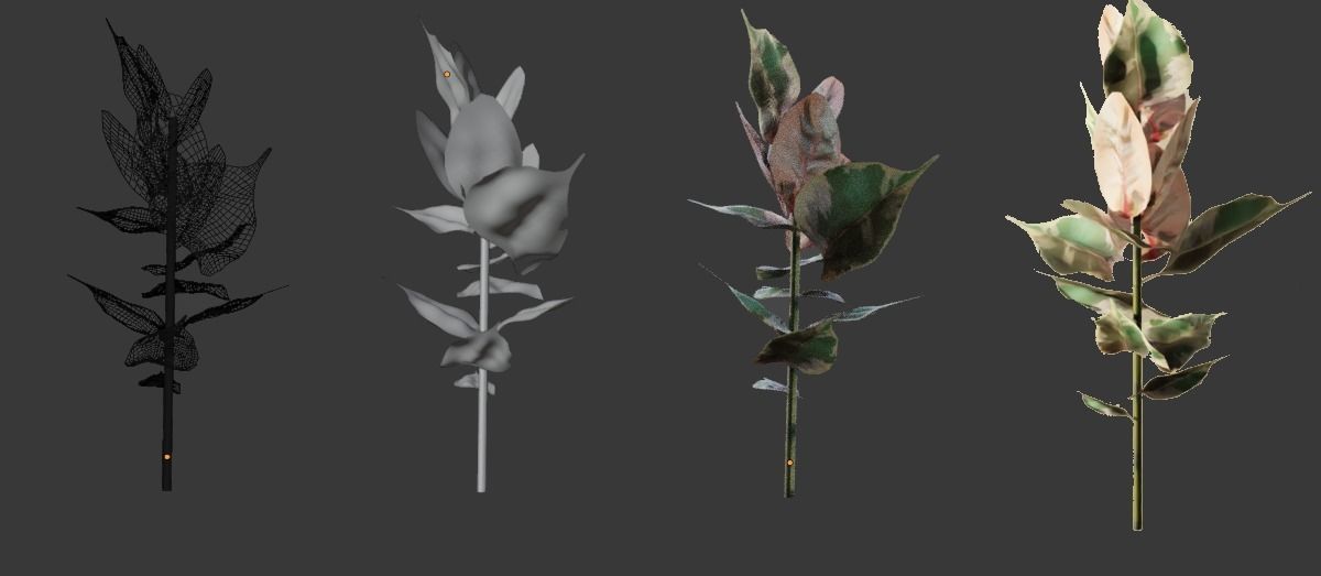 Ruby Ficus Free low-poly 3D model_1