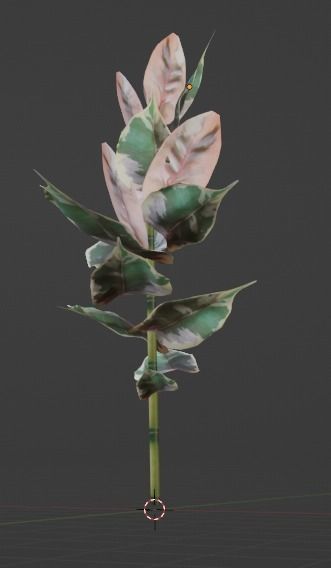 Ruby Ficus Free low-poly 3D model_2