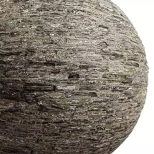 Historical Seamless Texture 2K - EXR 5 - JPG 5 Texture