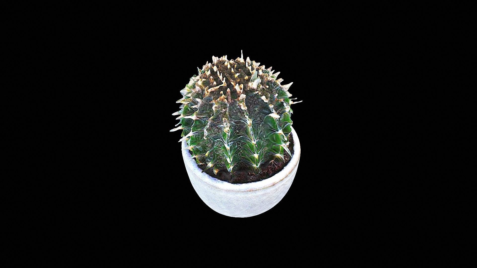 awesome plastic cactus 3D model_6