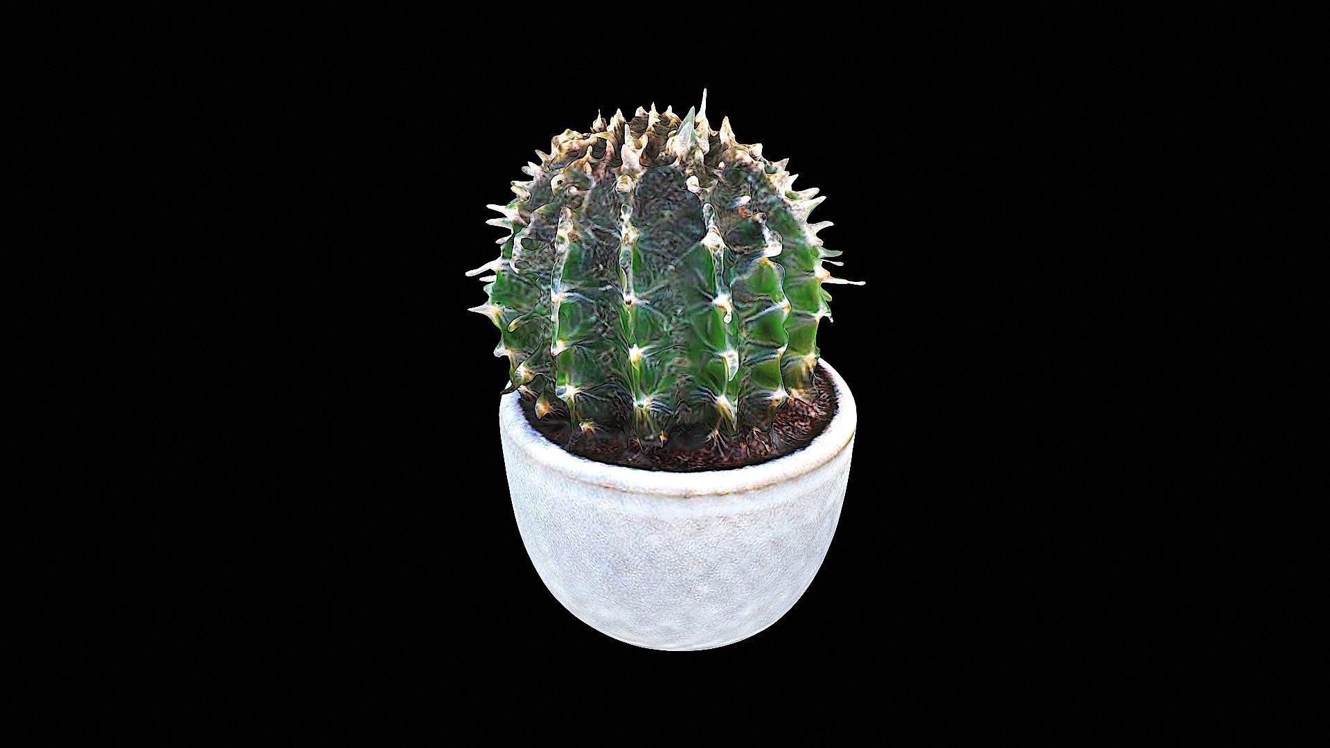 awesome plastic cactus 3D model_3