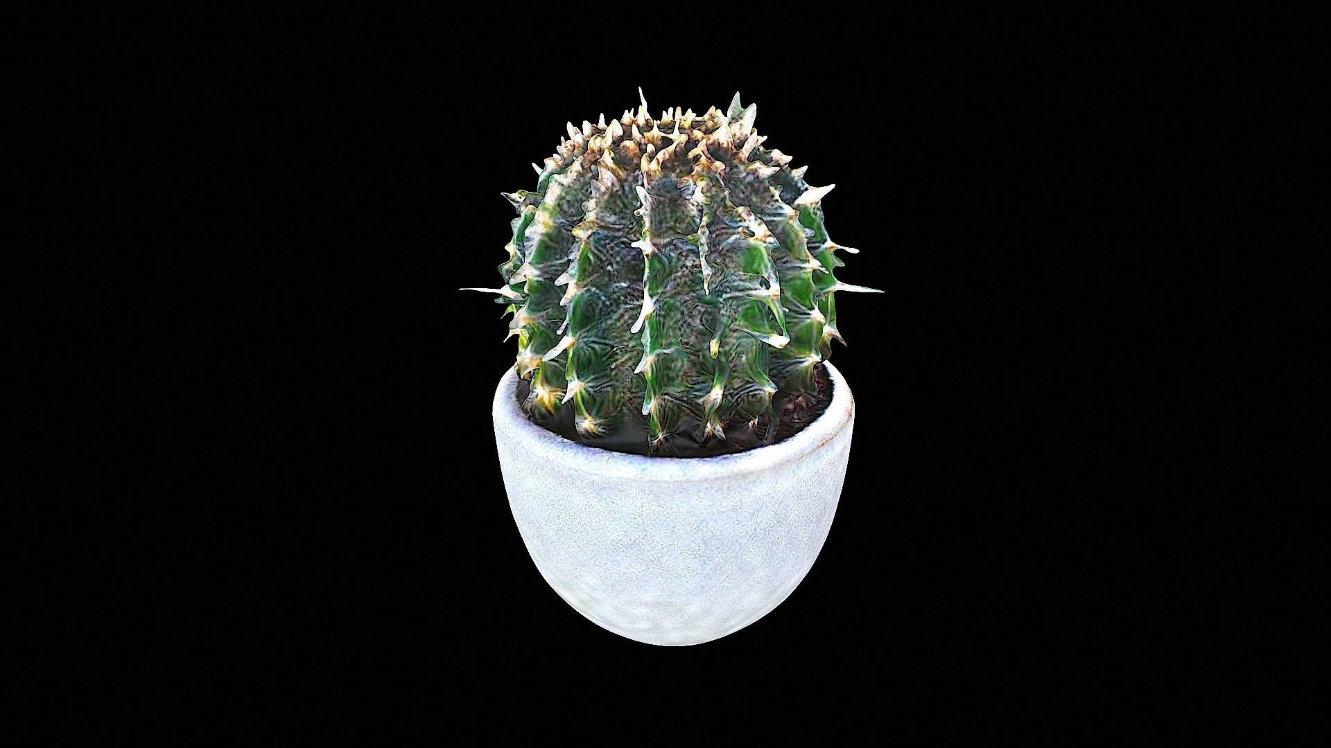 awesome plastic cactus 3D model_4