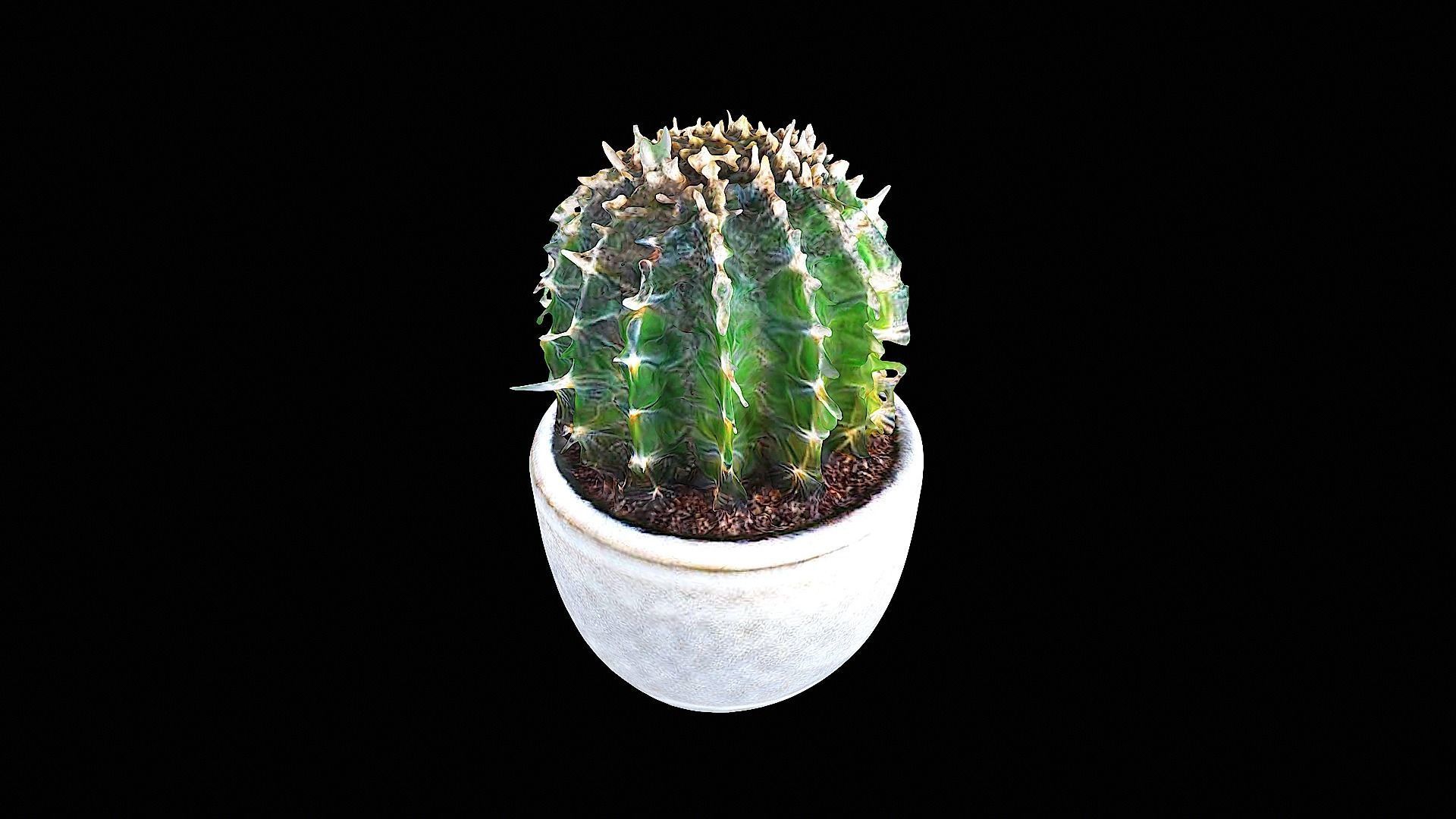 awesome plastic cactus 3D model_2