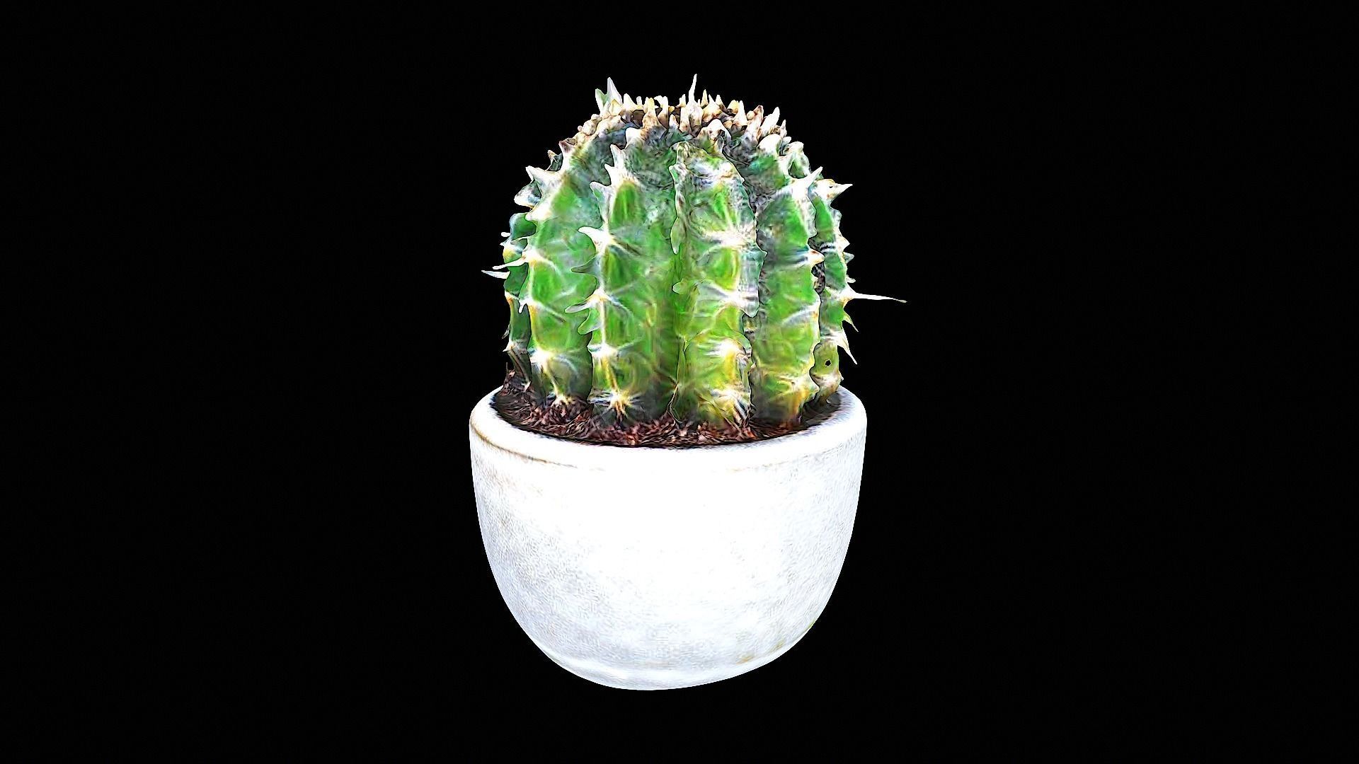 awesome plastic cactus 3D model_1