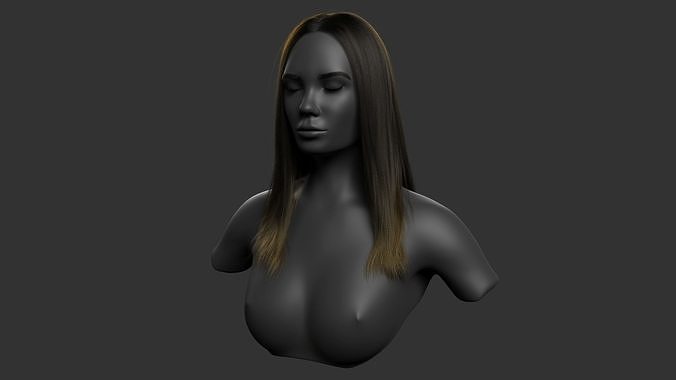 Houdini Hair simulation 3D model