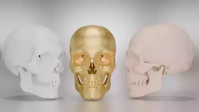 skull gold