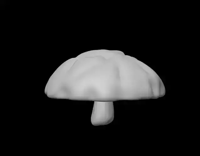 mushroom