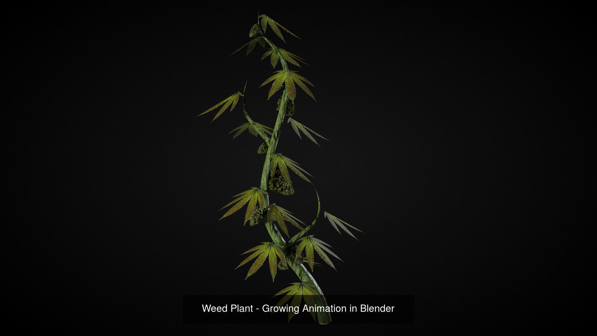 Tikos Mega Pack 3D Model Collection_157