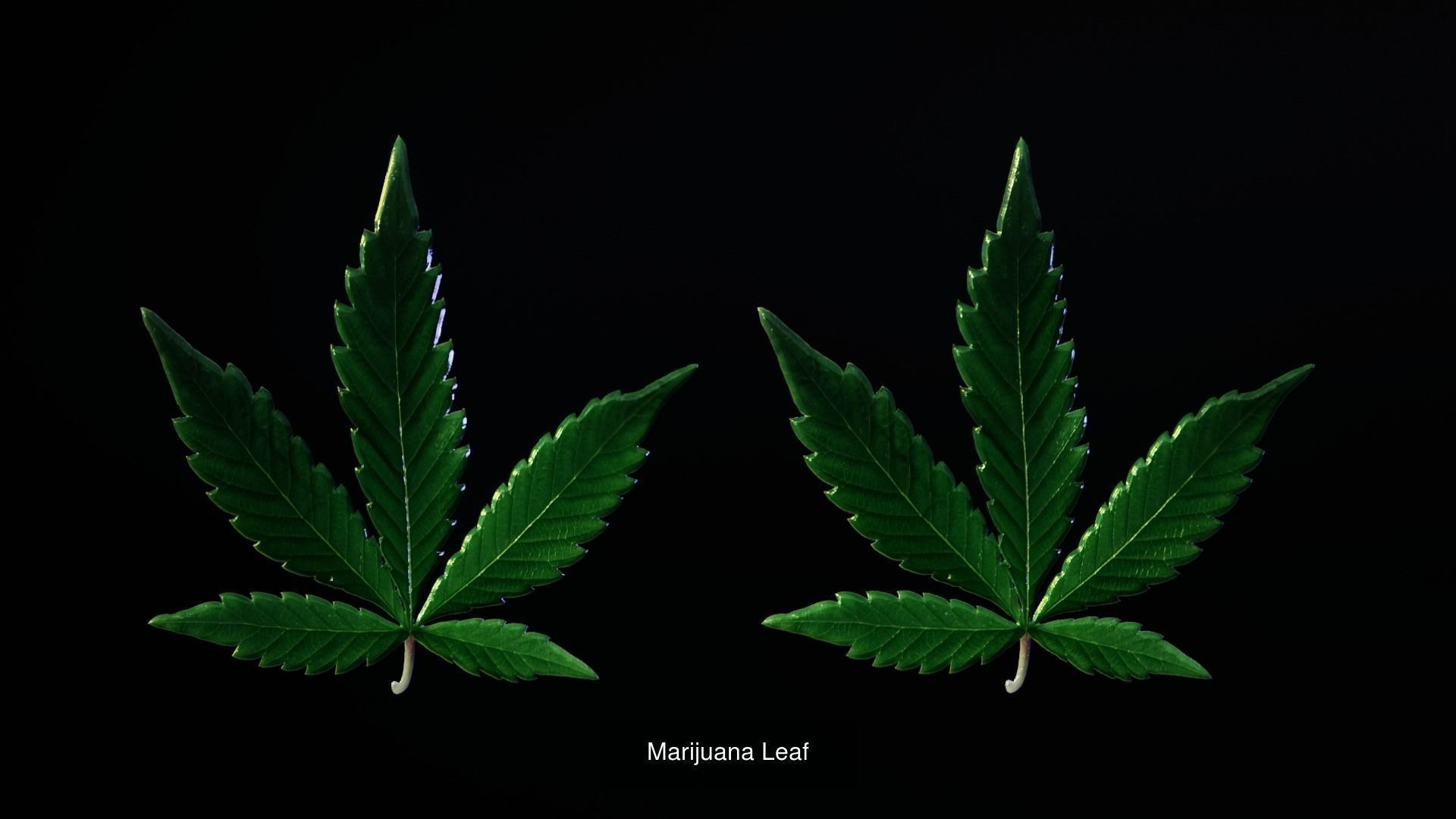 Tikos Mega Pack 3D Model Collection_12