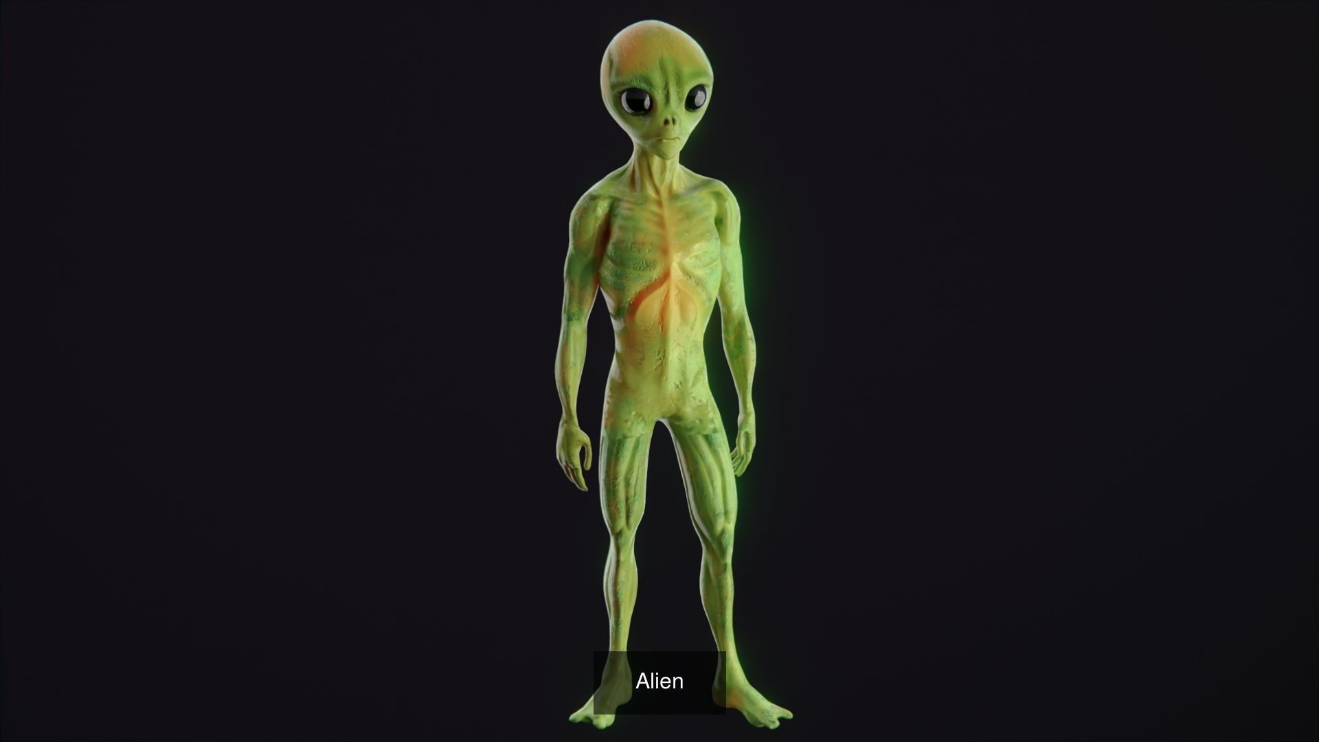 Tikos Mega Pack 3D Model Collection_79