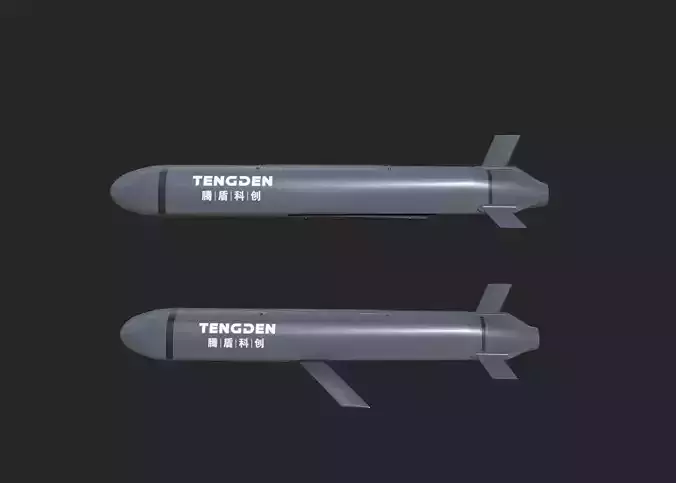 TS20 TS-20 Stealth cruise missile Patrol missile