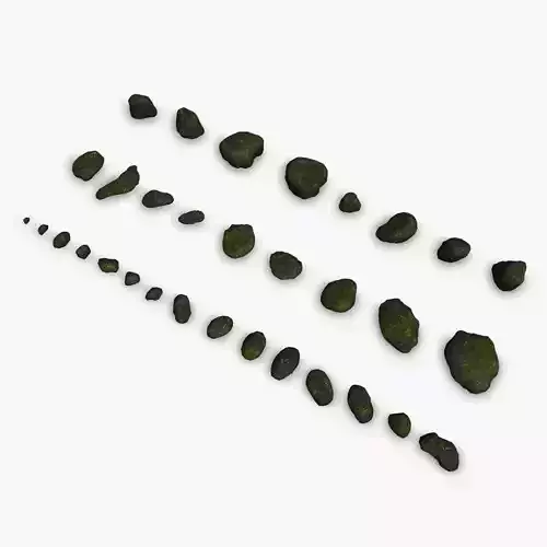 Assorted Rocks - Lichen 1