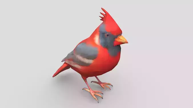Standing Bird Cardinal