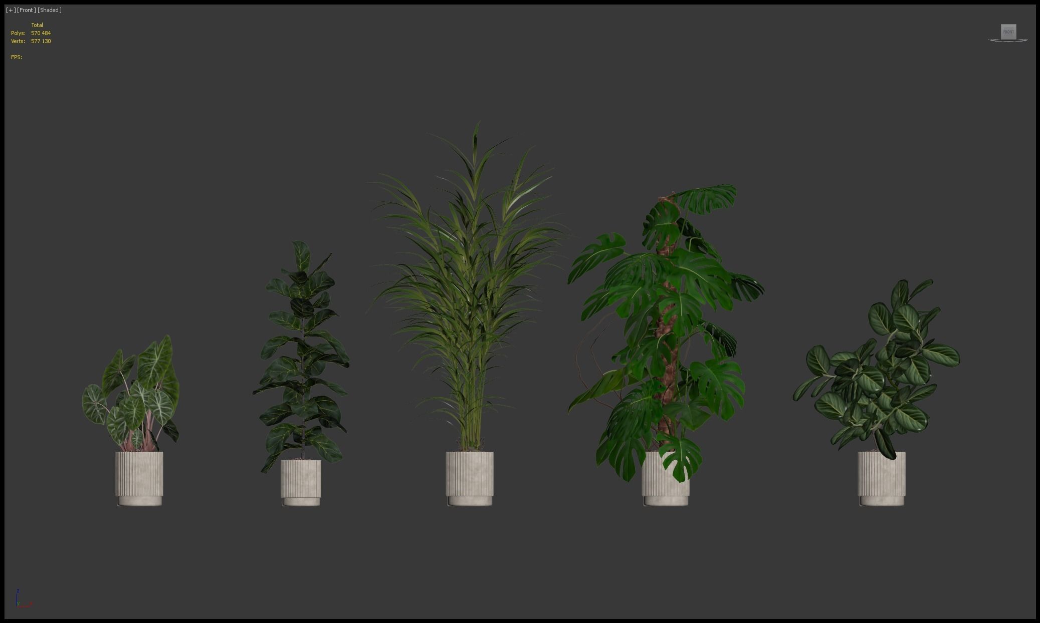 Plants collection 202 - ficus palm alocasia monstera lyrata 3D model_1