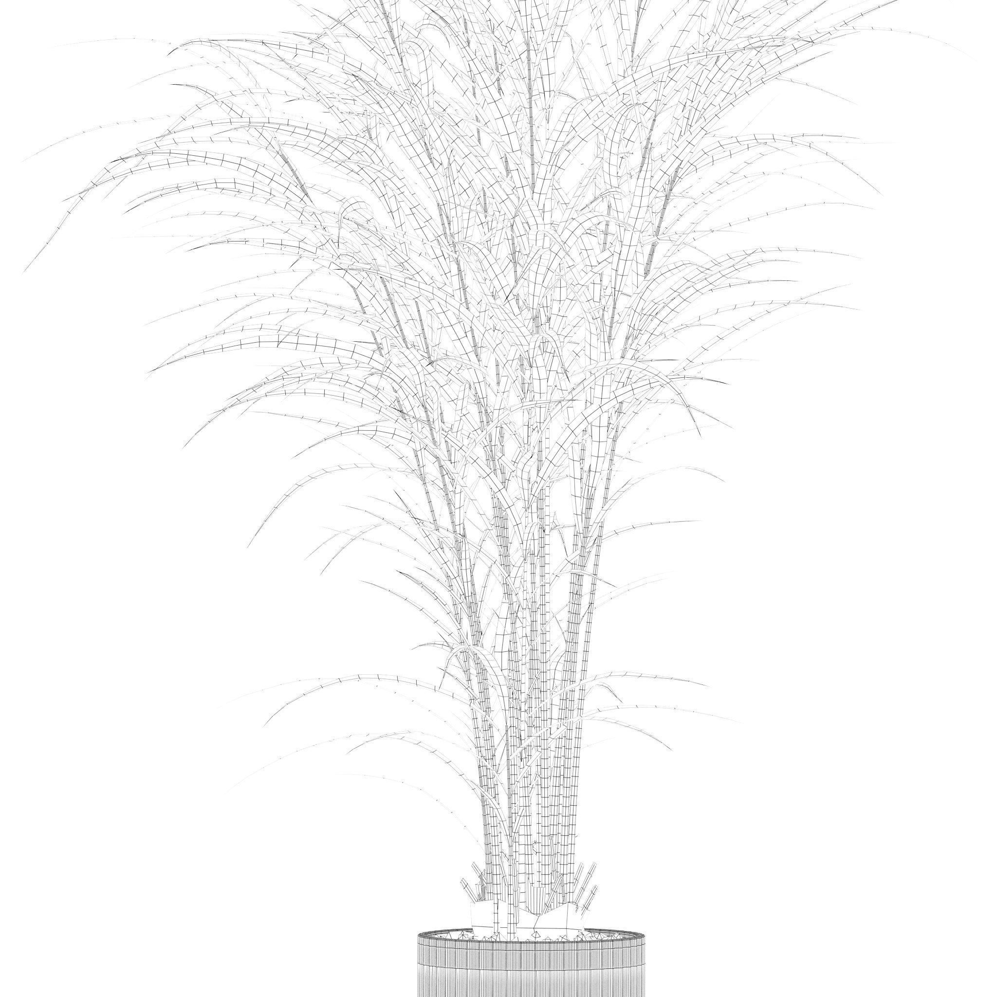 Plants collection 202 - ficus palm alocasia monstera lyrata 3D model_14