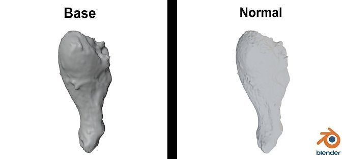 Chicken Leg - 8K UHD Scan Model  3D model 5