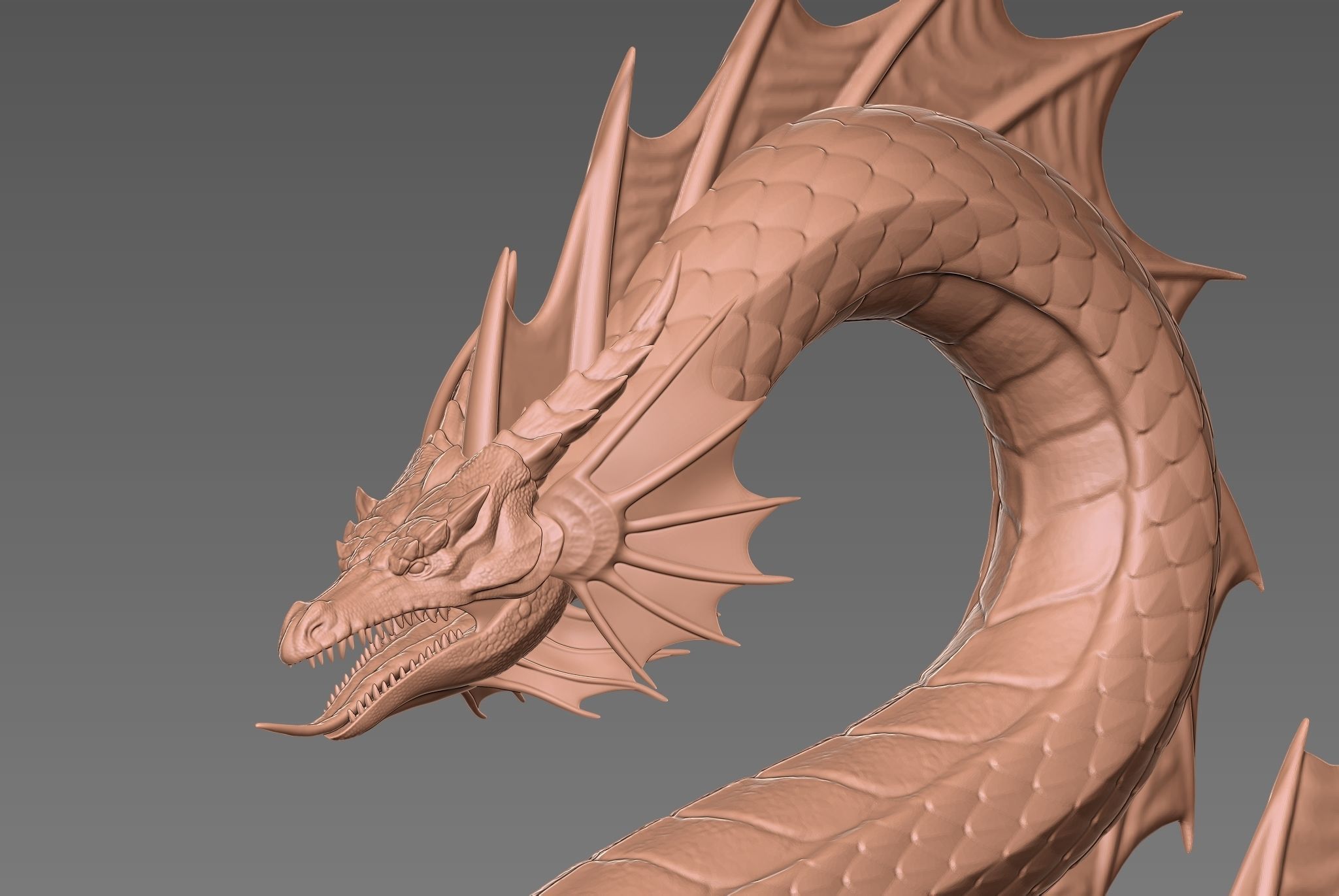 Ancient Sea Dragon above a Rock 3D print model_3