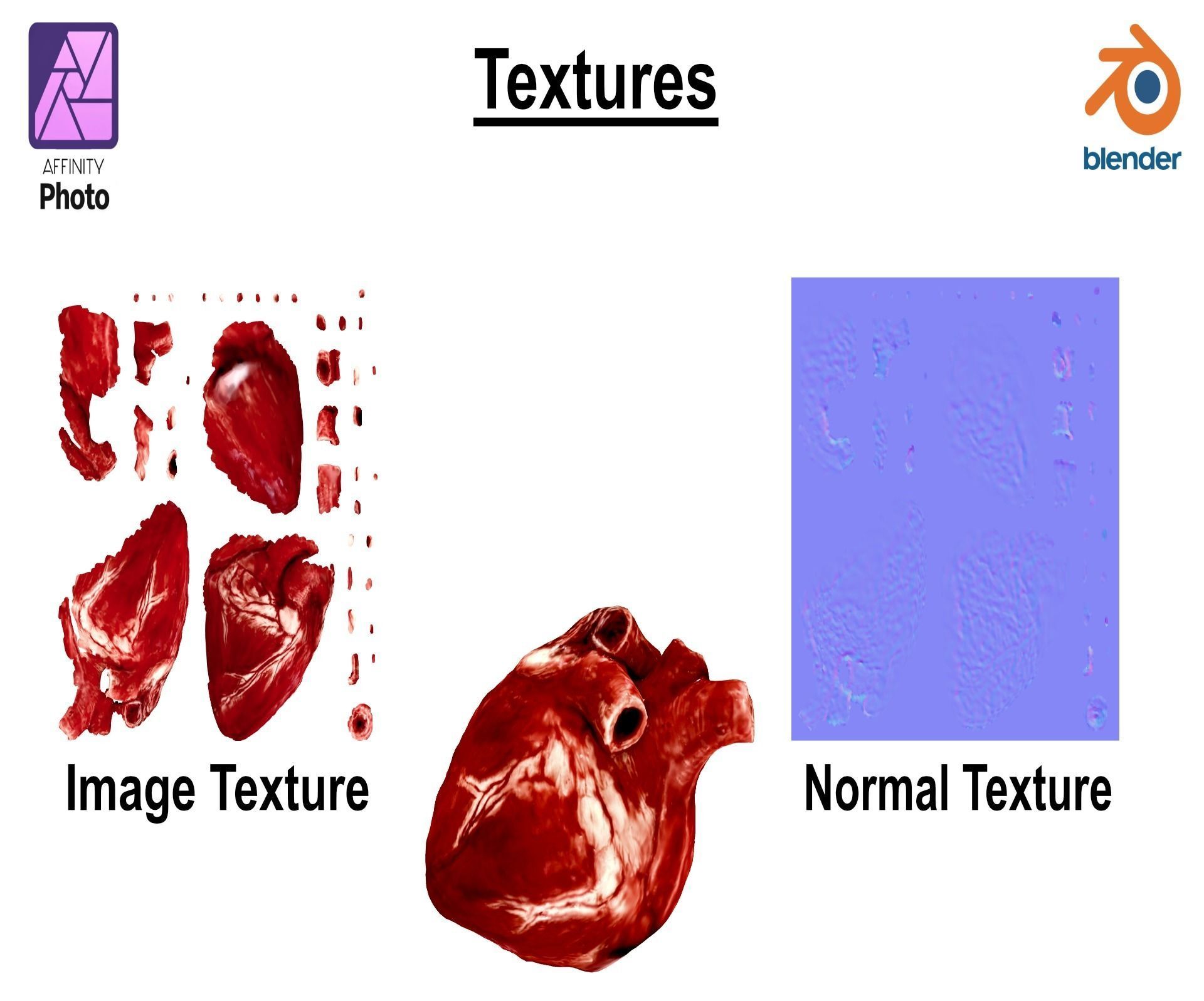 Realistic Heart - 8K UHD Scan Model  Low-poly 3D model_14