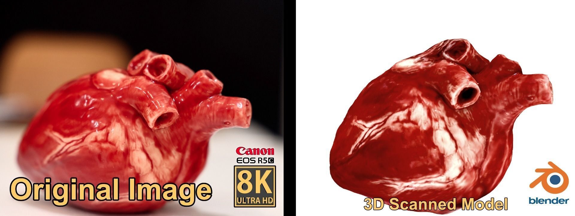 Realistic Heart - 8K UHD Scan Model  Low-poly 3D model_3