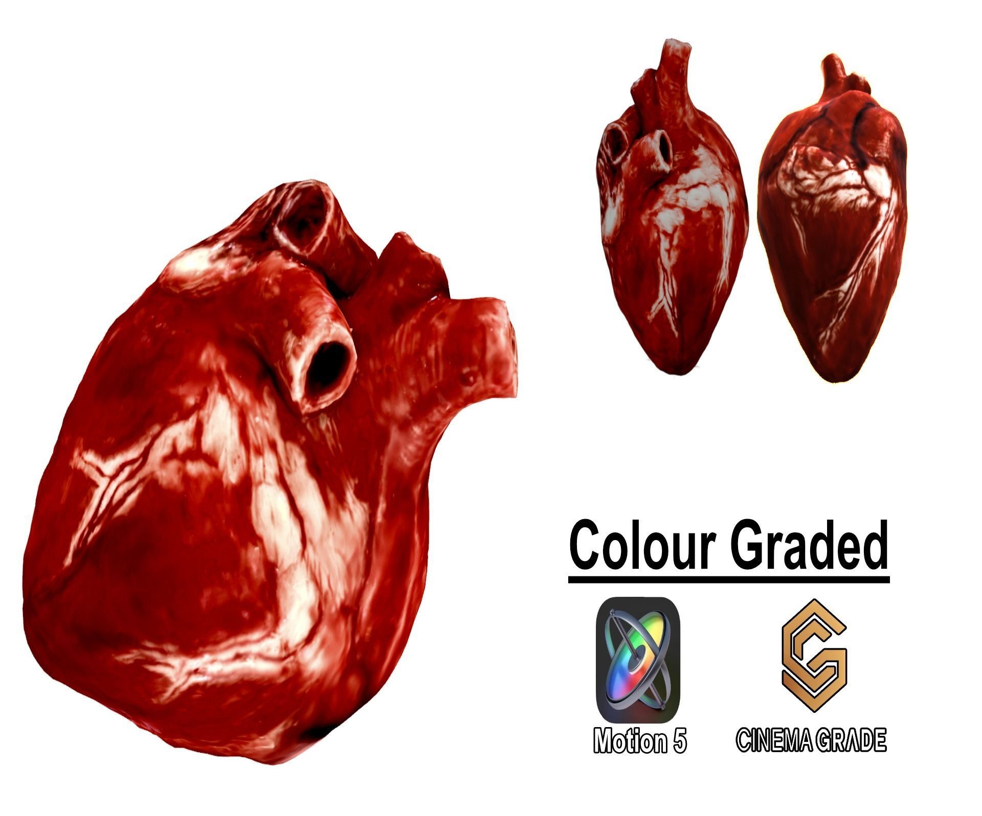 Realistic Heart - 8K UHD Scan Model  Low-poly 3D model_7