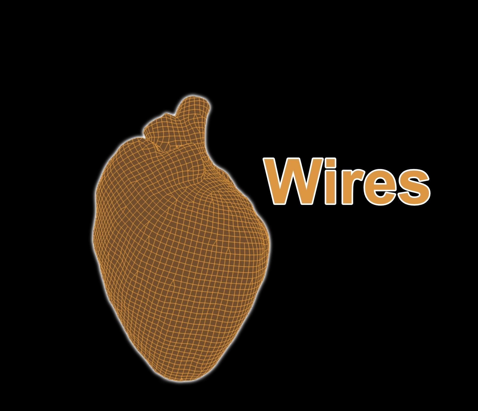 Realistic Heart - 8K UHD Scan Model  Low-poly 3D model_11