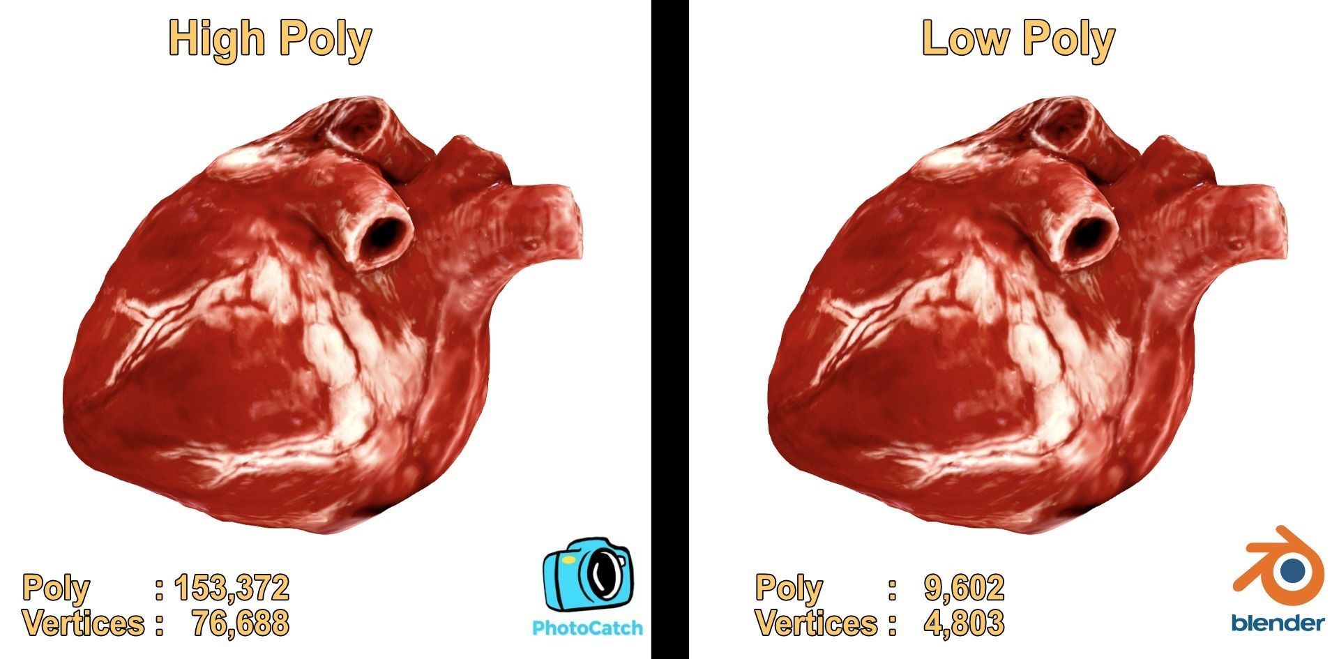 Realistic Heart - 8K UHD Scan Model  Low-poly 3D model_4