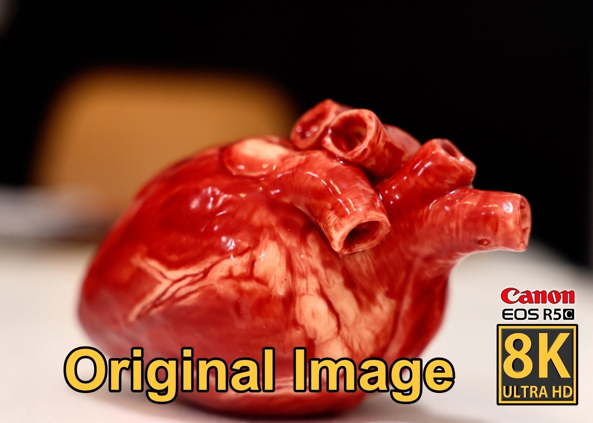 Realistic Heart - 8K UHD Scan Model  Low-poly 3D model_2