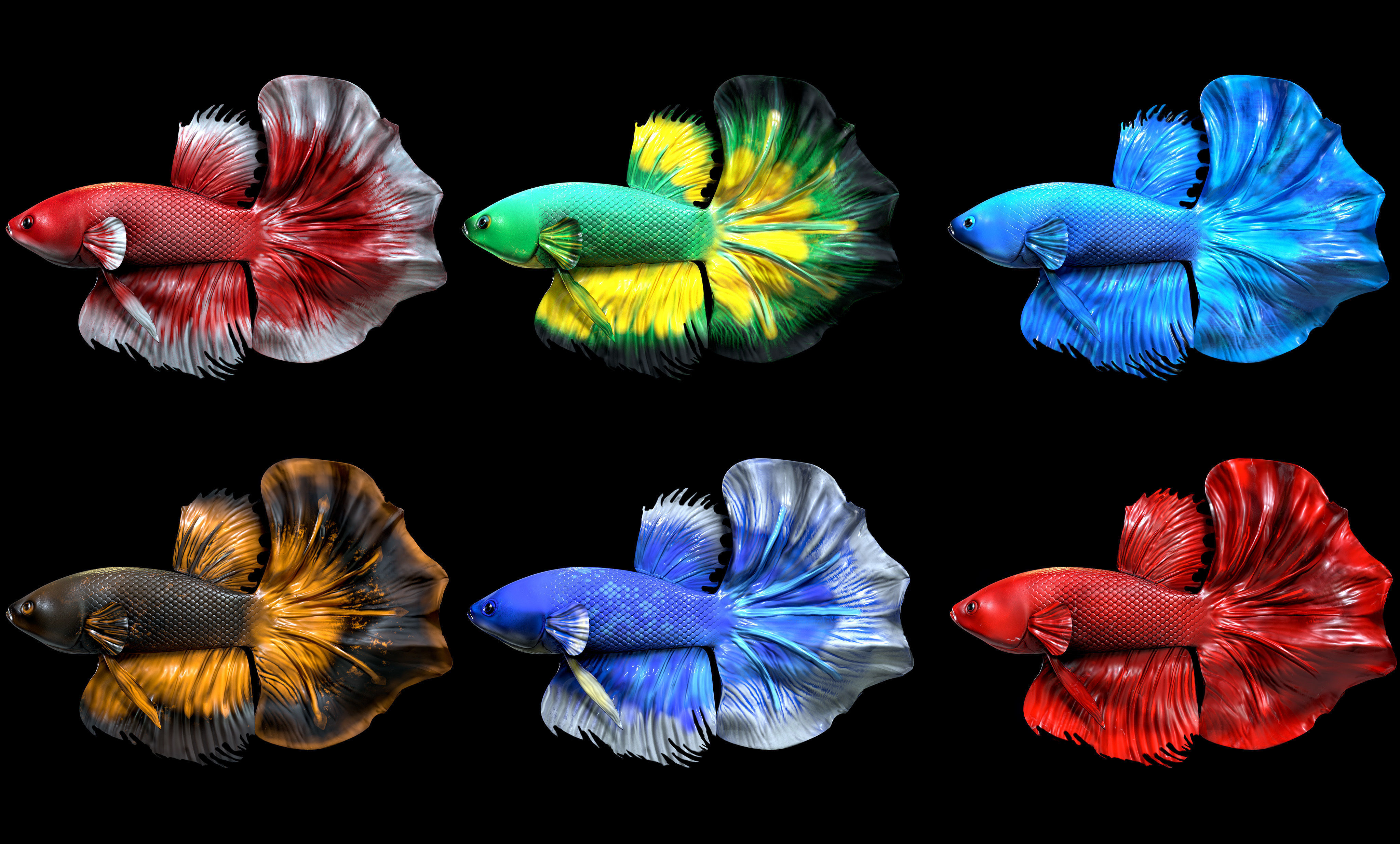 Betta fish Low-poly 3D model_1