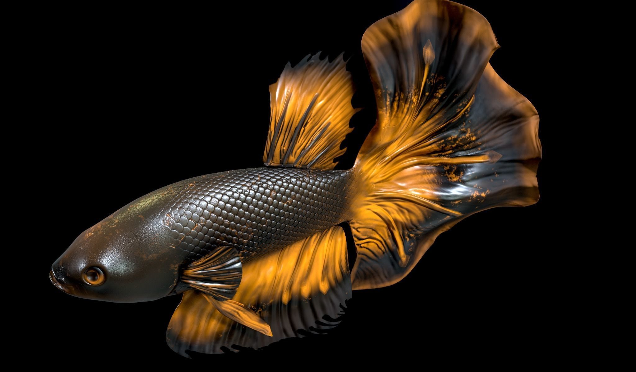 Betta fish Low-poly 3D model_6