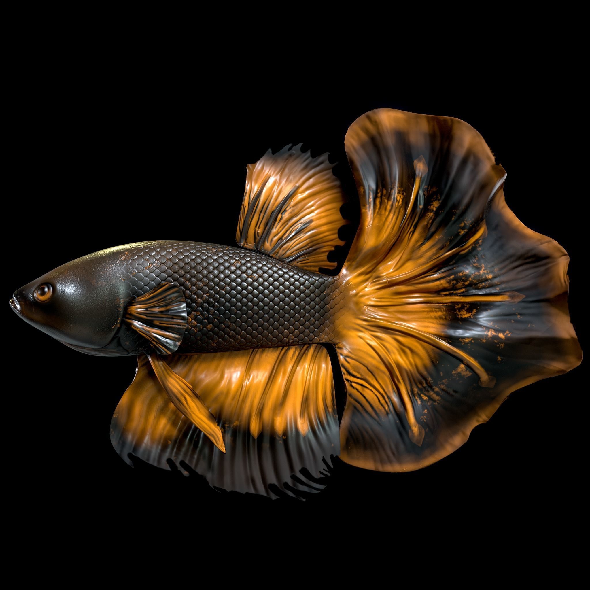 Betta fish Low-poly 3D model_4