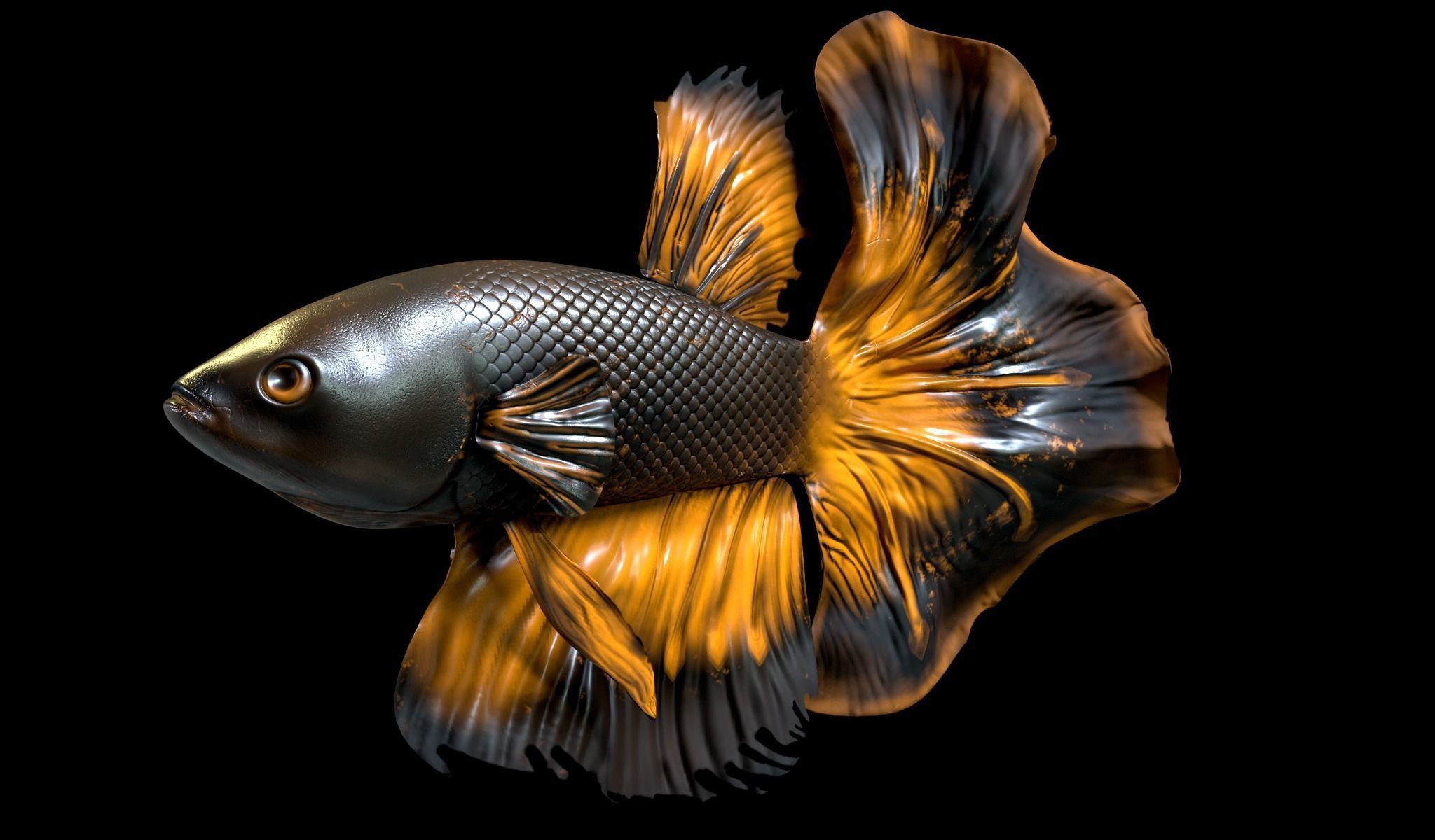 Betta fish Low-poly 3D model_5